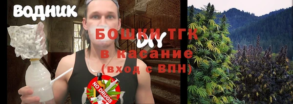 ГАЛЛЮЦИНОГЕННЫЕ ГРИБЫ Алзамай